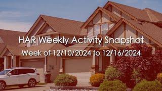 Weekly Activity Snapshot - 12/10/2024 to 12/16/2024