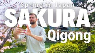 Cherry Blossom Qigong: Spring Practice at a Shinto Temple