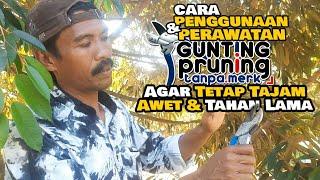 Cara Pemakaian Dan Perawatan Gunting Pruning Tanpa Merk...! Ini Kelebihan Dan Kelemahanya.