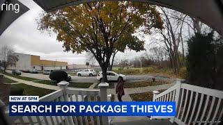 Porch pirates caught on video stealing packages on SW Side