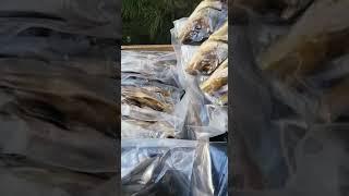 Самая вкусная рыба из Астрахани