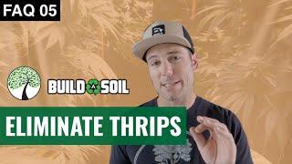 BuildASoil: I HAVE THRIPS WHAT DO I DO? // HOW TO GET RID OF THRIP (Season 6, FAQ 05)