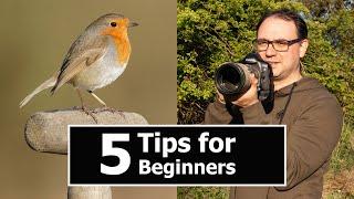 Wildlife Photography for BEGINNERS: 5 TIPS with Paul Miguel Photography