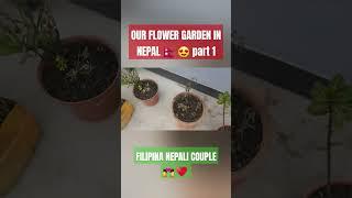 FILIPINA NEPALI COUPLE/ OUR FLOWER GARDEN IN NEPAL   PART 1