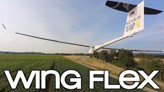 wing flex | ceflix jonker js3 rapture 1:2,75 6,55m scale sailplane