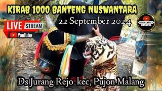 Live part 2 KIRAB 1000 BANTENG Ds Jurang Rejo Pujon  22 September 2024