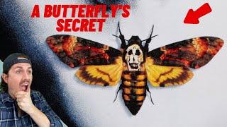 MrBallen Podcast | Episode 228 - "A Butterfly's Secret " (PODCAST EXCLUSIVE EPISODE)