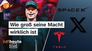 Musk beschimpft auch Habeck - Tesla-Aktie gefallen | Top-Ökonomin Malmendier bei ZDFheute live