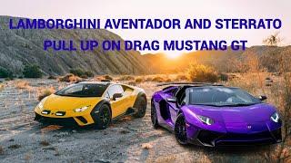 Lamborghini Aventador vs. Lamborghini Serrato vs. Mustang GT