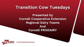 Transition CowManagement-Nutritional Needs of the Transition Cow.