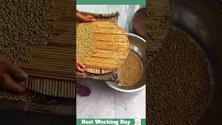 Best working day #1038 Bean sorting process