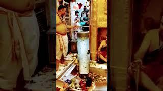 Kashi viswanath corridor dham live darshan vlog kashi putra comp blog sanatani Subscribe comp blog