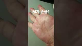 저 M자 손금인가요? 부자 될 수 있나요?