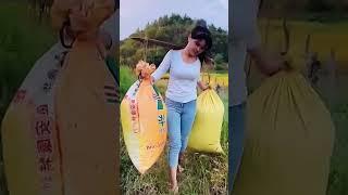 #农村人的快乐 #农村生活就是这样的 #做农活 #农村人的快乐很简单