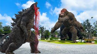 Godzilla vs. Kong - KING KONG EN LA VIDA REAL