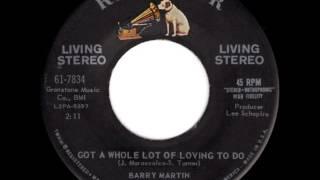 Barry Martin - Got A Whole Lot Of Loving To Do