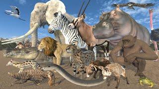 African Animal Size Comparison | 3D Animation | Realistic World Data