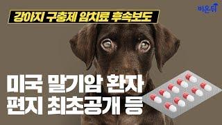 강아지 구충제 암 치료 후속보도 - 미국 말기암 환자 편지 최초공개