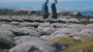 Seafood Industry Grants | BIM