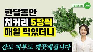 치커리 5장을 매일매일 먹으면 이런 변화가 나타납니다.  치커리 효능과 부작용[정라레]