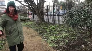 Grow Feral Kew video edit 1