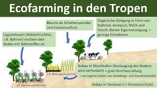 Ecofarming in den Tropen [Erdkunde, Mittel- und Oberstufe]