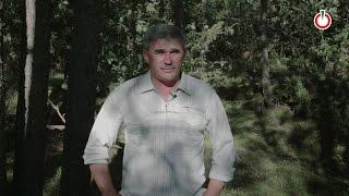 Михаил Пустобаев. Человек на своей земле
