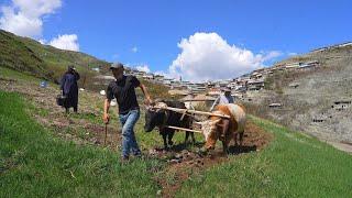 Hard Life in mountain DAGESTAN Village. How people live in Russia now