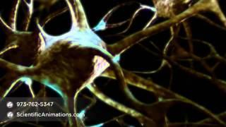 Neurons Firing TV Documentary - Neurology Animation