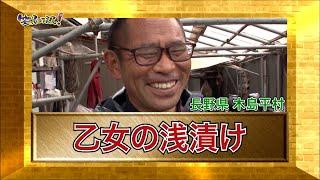 【ダーツの旅笑コラスタッフ厳選】「乙女の浅漬け」東日本編：長野県木島平村」傑作選インタビュー