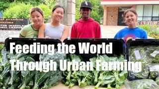 Solarpunk Food pt 2: Urban Gardening and Permaculture.