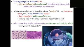 Lecture 1   Intro to Cells Chapter 1