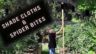 Garden Chat | Shade Cloth and Spider Bites