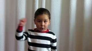 А.С.Пушкин. Сказка о золотом петушке. Камилле 4 года.