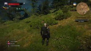 The Witcher 3: Wild Hunt – You can see the lower spine....