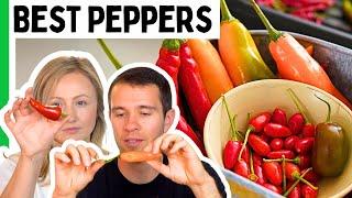 Best (And Worst) Peppers Of 2024 - Pepper Geek