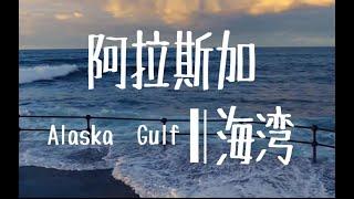 阿拉斯加海湾 Gulf of Alaska (String Quartet Arrangement)