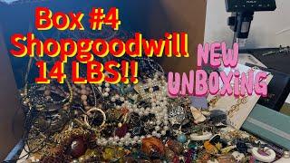 Unboxing Shopgoodwill Box 14 Pounds!! Necklaces, earrings and bracelets