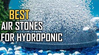 Top 5 Best Air Stones for Hydroponics [Review] - Homemade Air Stone for Hydroponics [2023]