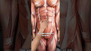 VỊ TRÍ ĐAU BỤNG LÀ NƠI NHẬN BIẾT SỨC KHỎE QUAN TRỌNG #tintam #trilieutintam #trending #xuhuong