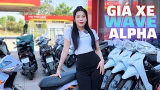 Chỉ cần 500k là có ngay xe Honda Wave Alpha I Thùy Dung Motor