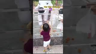 har har mahadev ️#shorts #mahadev #bholenath #nitya