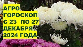 КАКИЕ Важные Дела Нужно сделать с 23 по 27 декабря 2024 года?