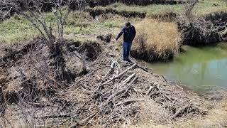 Capitalizing on Riparian Restoration