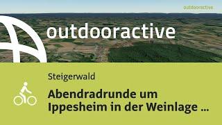 Flyover-Video: Abendradrunde um Ippesheim in der Weinlage Paradies