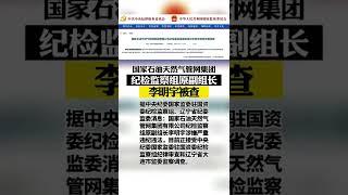 国家管网集团纪检监察组原副组长李明宇被查