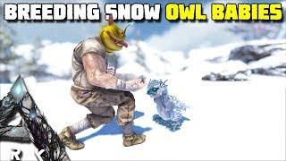 BREEDING SNOW OWL BABIES | ARK:EXTINCTION [EP10]