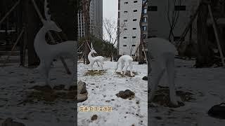 올림픽파크포레온은 12000세대의 대단지로서 둔촌아파트가 재건축아파트로 탄생 4단지일부조경