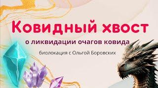 Последствия ковида в вопросах ответах (отрывок вебинара) Ольга Боровских