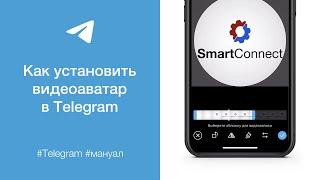 Как установить видеоаватар в Telegram